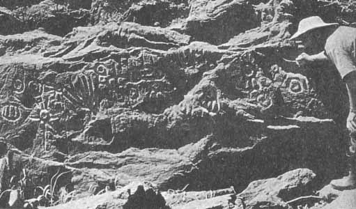 Иллюстрация к книге — Каменный век был иным... [i_011.jpg]