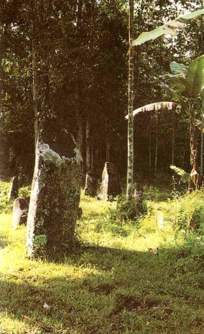 Иллюстрация к книге — Каменный век был иным... [i_029.jpg]