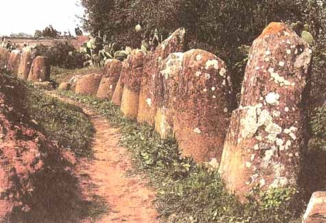 Иллюстрация к книге — Каменный век был иным... [i_031.jpg]