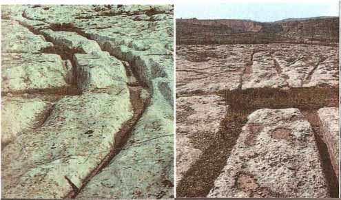 Иллюстрация к книге — Каменный век был иным... [i_043.jpg]