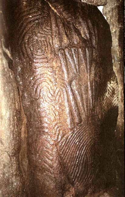 Иллюстрация к книге — Каменный век был иным... [i_055.jpg]