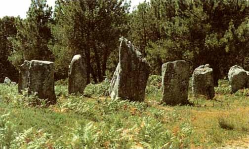 Иллюстрация к книге — Каменный век был иным... [i_059.jpg]