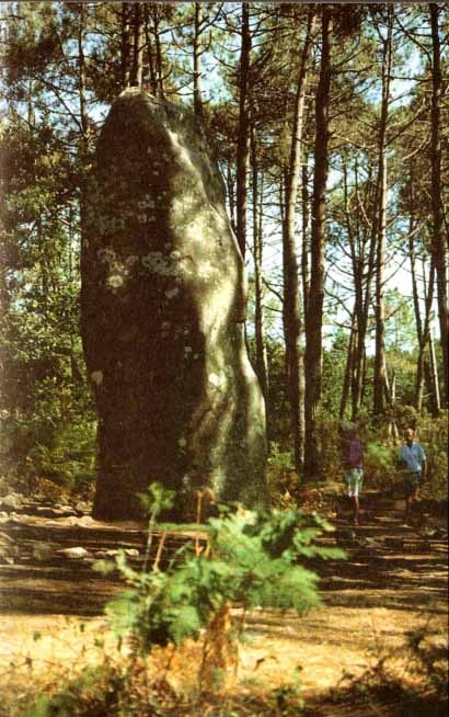 Иллюстрация к книге — Каменный век был иным... [i_060.jpg]