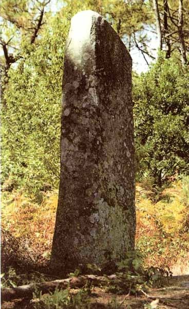 Иллюстрация к книге — Каменный век был иным... [i_061.jpg]