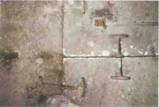 Иллюстрация к книге — Именем Зевса [i_007.jpg]