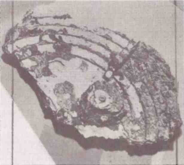 Иллюстрация к книге — Именем Зевса [i_017.jpg]