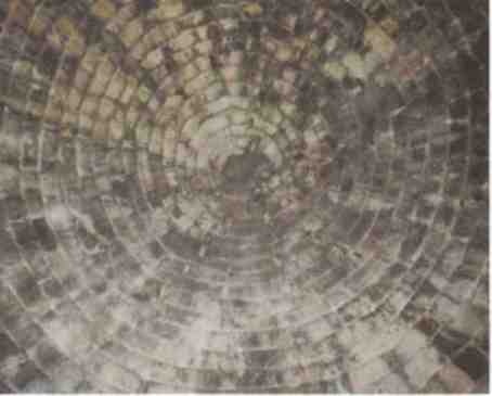 Иллюстрация к книге — Именем Зевса [i_027.jpg]