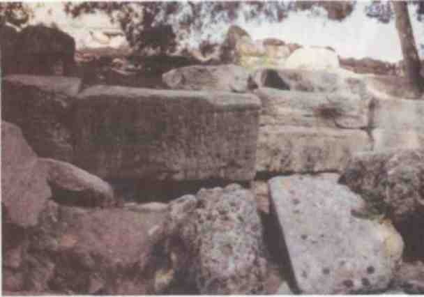 Иллюстрация к книге — Именем Зевса [i_033.jpg]