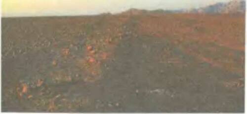 Иллюстрация к книге — Знаки, обращенные в вечность [i_012.jpg]