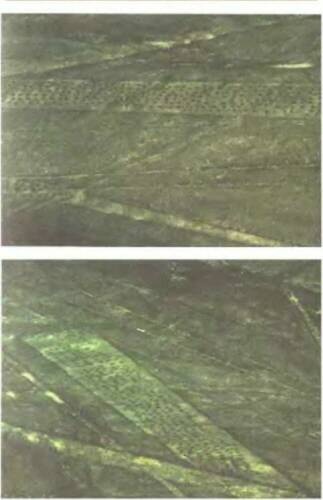 Иллюстрация к книге — Знаки, обращенные в вечность [i_019.jpg]