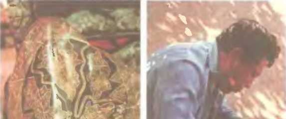 Иллюстрация к книге — Знаки, обращенные в вечность [i_030.jpg]