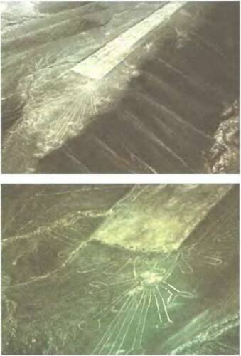 Иллюстрация к книге — Знаки, обращенные в вечность [i_054.jpg]