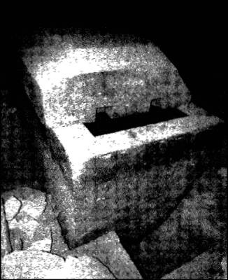 Иллюстрация к книге — Глаза Сфинкса [i_005.jpg]