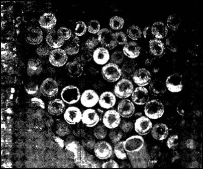 Иллюстрация к книге — Глаза Сфинкса [i_011.jpg]