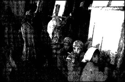 Иллюстрация к книге — Глаза Сфинкса [i_024.jpg]