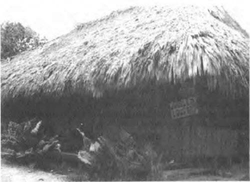 Иллюстрация к книге — Боги майя [i_001.jpg]