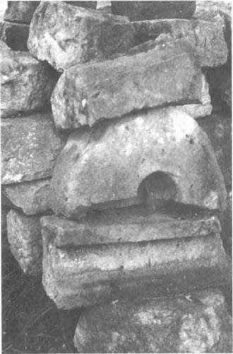 Иллюстрация к книге — Боги майя [i_015.jpg]