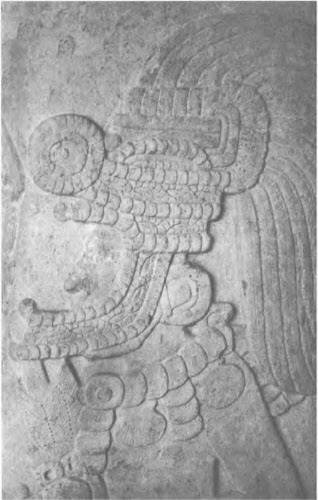 Иллюстрация к книге — Боги майя [i_018.jpg]