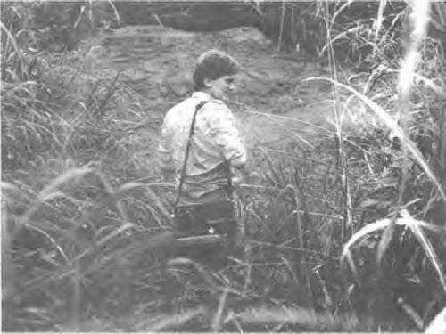 Иллюстрация к книге — Боги майя [i_021.jpg]