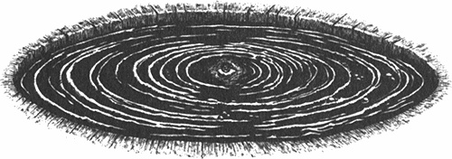 Иллюстрация к книге — Румо, или Чудеса в темноте [img_0011.jpg]