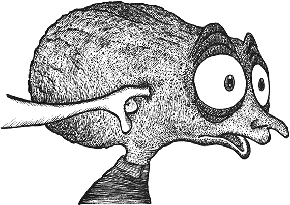 Иллюстрация к книге — Румо, или Чудеса в темноте [img_0024.jpg]