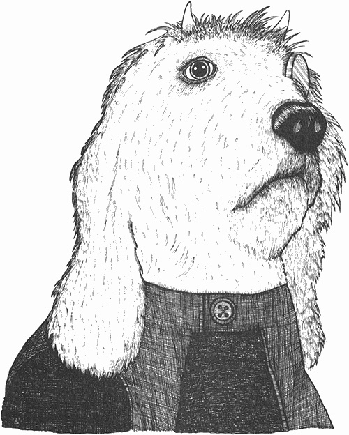 Иллюстрация к книге — Румо, или Чудеса в темноте [img_0041.jpg]