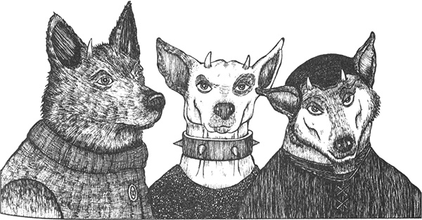 Иллюстрация к книге — Румо, или Чудеса в темноте [img_0044.jpg]