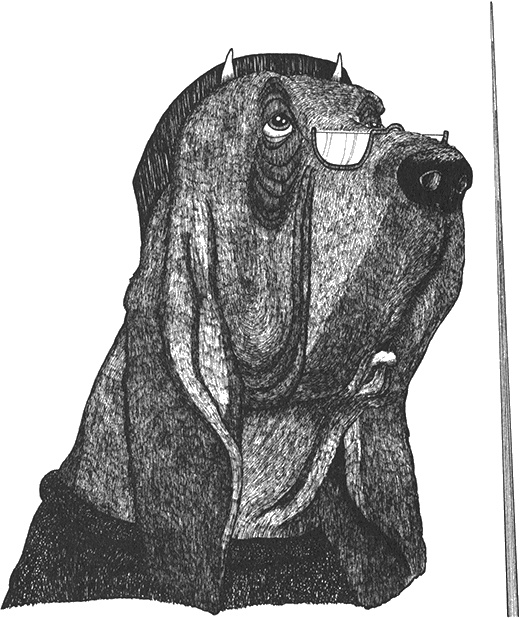 Иллюстрация к книге — Румо, или Чудеса в темноте [img_0045.jpg]