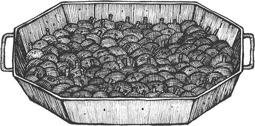 Иллюстрация к книге — Румо, или Чудеса в темноте [img_0055.jpg]