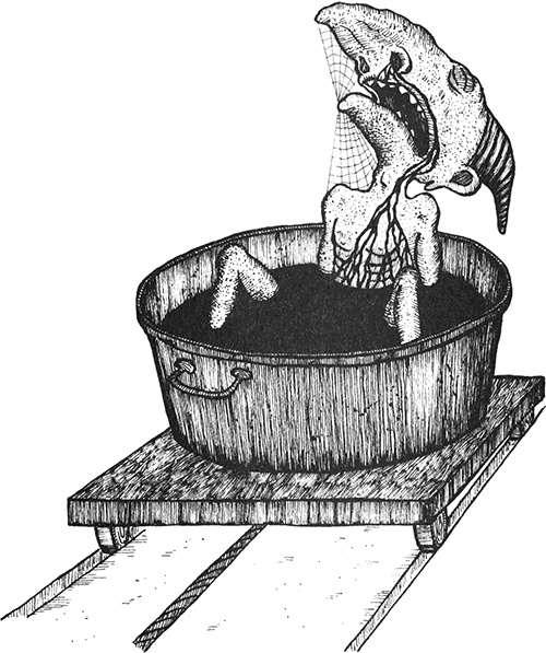 Иллюстрация к книге — Румо, или Чудеса в темноте [img_0056.jpg]