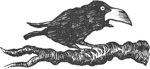 Иллюстрация к книге — Румо, или Чудеса в темноте [img_0064.jpg]