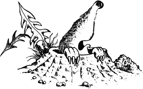 Иллюстрация к книге — Румо, или Чудеса в темноте [img_0067.jpg]