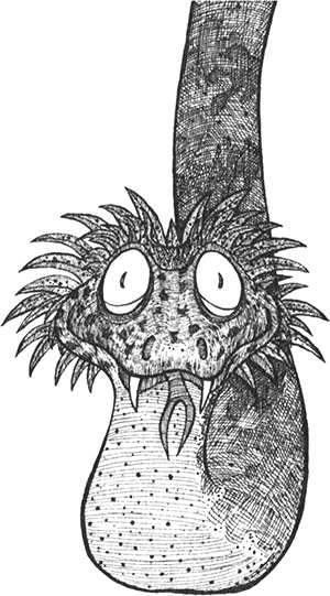 Иллюстрация к книге — Румо, или Чудеса в темноте [img_0070.jpg]