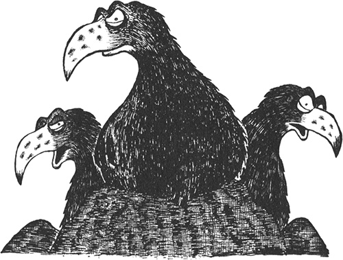 Иллюстрация к книге — Румо, или Чудеса в темноте [img_0077.jpg]