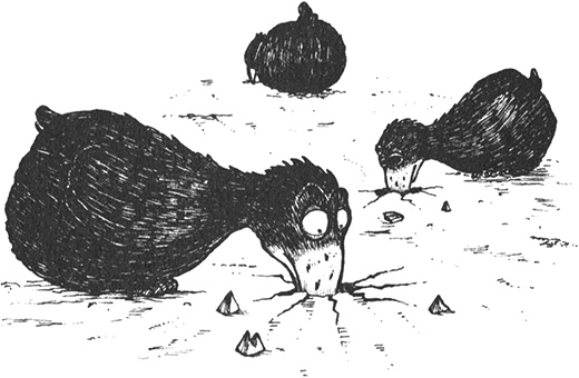 Иллюстрация к книге — Румо, или Чудеса в темноте [img_0084.jpg]