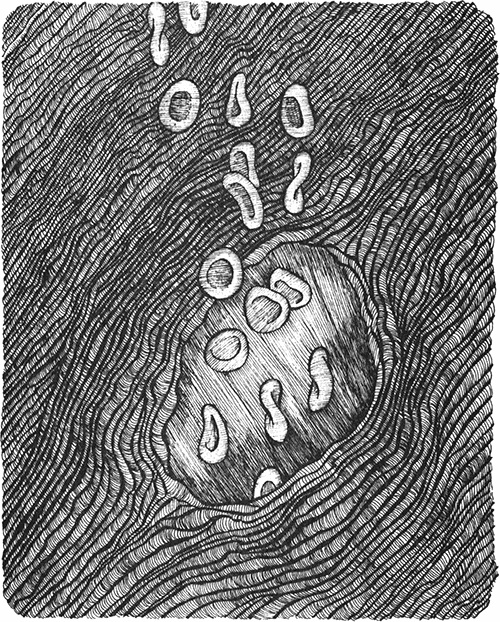 Иллюстрация к книге — Румо, или Чудеса в темноте [img_0096.jpg]