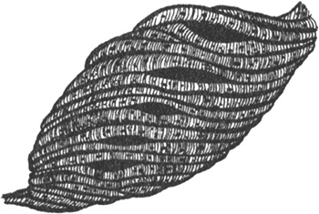 Иллюстрация к книге — Румо, или Чудеса в темноте [img_0102.jpg]