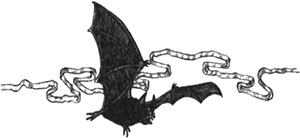 Иллюстрация к книге — Румо, или Чудеса в темноте [img_1014.jpg]