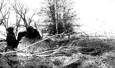 Иллюстрация к книге — Легкие танки Т-40 и Т-60 [img_19.jpg]