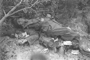 Иллюстрация к книге — 1-я Русская бригада СС &quot;Дружина&quot; [p0251.jpg]