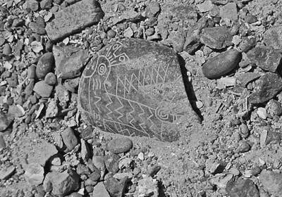 Иллюстрация к книге — Камни Ики. Послание невозможной цивилизации [i_011.jpg]