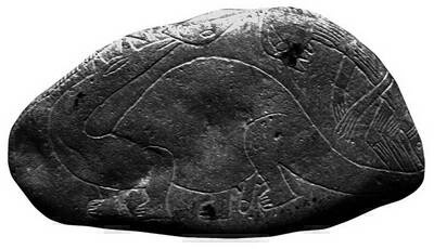 Иллюстрация к книге — Камни Ики. Послание невозможной цивилизации [i_019.jpg]