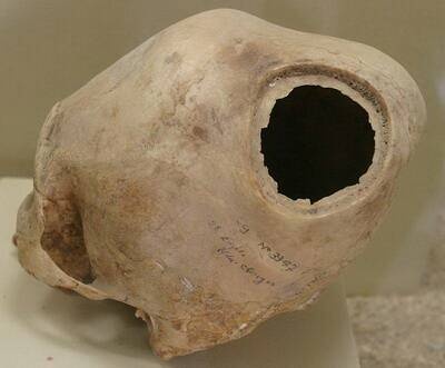 Иллюстрация к книге — Камни Ики. Послание невозможной цивилизации [i_105.jpg]