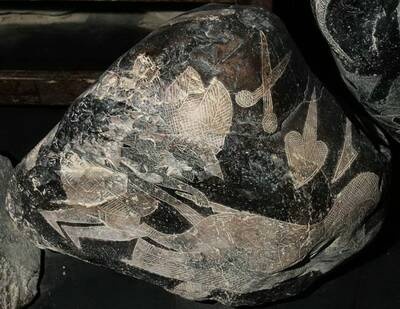 Иллюстрация к книге — Камни Ики. Послание невозможной цивилизации [i_106.jpg]