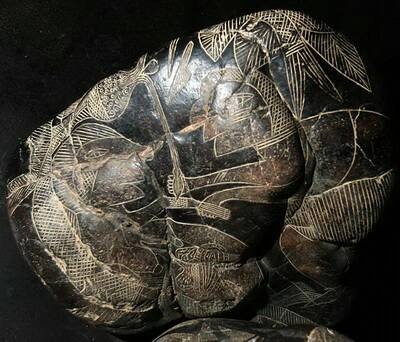 Иллюстрация к книге — Камни Ики. Послание невозможной цивилизации [i_116.jpg]