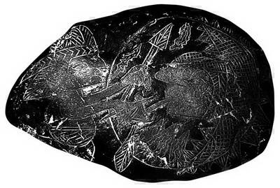 Иллюстрация к книге — Камни Ики. Послание невозможной цивилизации [i_142.jpg]