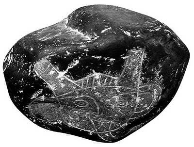 Иллюстрация к книге — Камни Ики. Послание невозможной цивилизации [i_177.jpg]