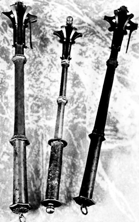 Иллюстрация к книге — Рыцарские ордена в бою [i_108.jpg]