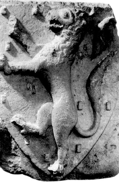 Иллюстрация к книге — Рыцарские ордена в бою [i_138.jpg]