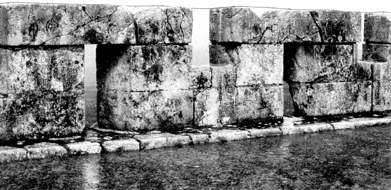 Иллюстрация к книге — Рыцарские ордена в бою [i_139.jpg]